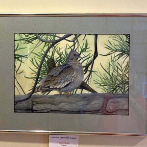 Doves by Diane Orzel