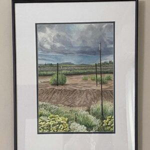 Truth or Consequences Rail Line by Diane Orzel